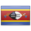 shiny Swaziland icon